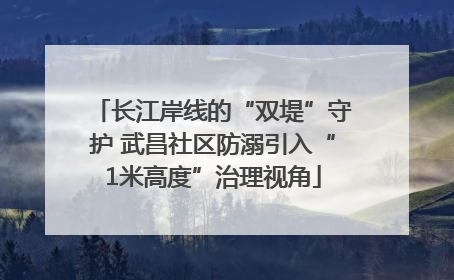 长江岸线的“双堤”守护 武昌社区防溺引入“1米高度”治理视角